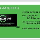 에픽코리아 이미지