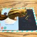 양산3D과학체험관 이미지