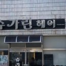 슈가린헤어