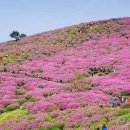 무성축산 이미지