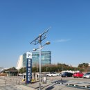 국립세종도서관 버스정류장 이미지