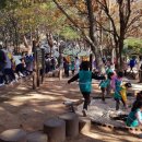 소나무동산 이미지