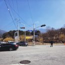 주차17 | 3월17일 구례 산수유축제 🌼다녀온 후기! 동선·주차 꿀팁(광양매화축제 비교)