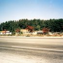 창원 가음정동 고분군 이미지