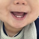 일상. 285