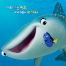 도리 이미지