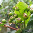 황혼농장 이미지