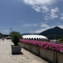 (주)동현푸드 | [위플립블로그/킥플립] 부산 원아시아페스티벌 2026 다녀온 후기