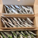 11545-11-99-21 | 곡물도감 서리태 무가당 두유 솔직 후기｜말차·21곡 콩물 맛·성분 비교 리뷰