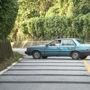 최신영화 스텔라 이미지