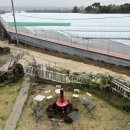 제주반디하우스 | 제주 서쪽 감성 게스트하우스 ‘바언제주’ 4번째 재방문 후기 (불멍+차+낭만)
