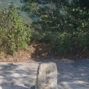 튼튼행정사사무소 이미지