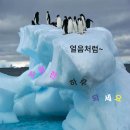 호랑이태권도 이미지