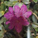 (주)국민티에스 이미지