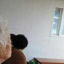 다락골 경로당 Daum카페