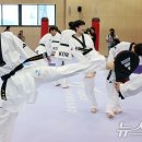 국가대표 올림픽 태권도장 이미지