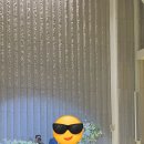 유성대로1689번길 이미지