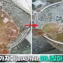 낚시수산 이미지