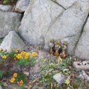 언덕나무펜션 이미지