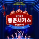 동춘서커스 초인의 비상 이미지