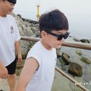 세븐일레븐 강릉사천진리점 이미지