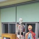 원광초교 이미지