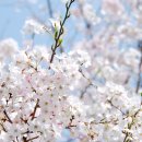 곤니찌와 여행 일본어 이미지