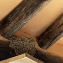 문채농장 이미지