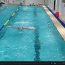 접영 butterfly stroke 25M (2nd Team ) 이미지
