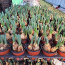 호림농장 이미지