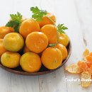 달콤하우스 이미지