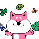 주식회사신나는체험 이미지
