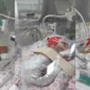 세쌍둥이네 이미지