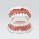 딜라이트치과의원 이미지