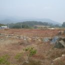 개군면사무소 이미지