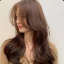 두발 컷