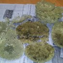 옻나무집 이미지