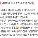 달콤하개 이미지