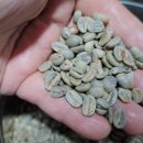 엘시엘로 이미지