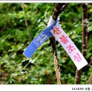 낙동정맥트레일 이미지