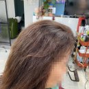 샤린헤어 | 덕진구미용실 샤린헤어에서 복구펌했어요