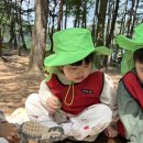 🌳 사랑반의 5월 2주 - 숲 체험(누에 애벌레를 만나요) 🐛 이미지
