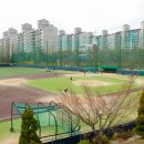 연세대학교삼애캠퍼스연세대야구장 브런치