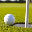 봉명스크린골프(스크린) 이미지