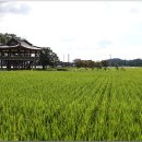 창평남극루 이미지