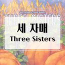 본격 텃밭 경영 롤 앤 라이트 보드게임 추천! 세자매 개봉기 &amp; 플레이 후기