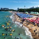 속초해수욕장 이미지