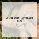 광명한의원 이미지