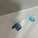 퍼스트하임 | 용인 죽전 퍼스트하임 퍼플렉스 P30 줄눈 시공 현장 후기