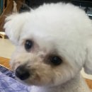 이서방횟집 이미지